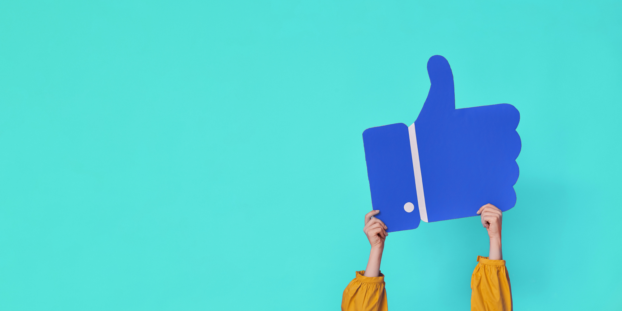SEO, tow hands holding up a cardboard cutout of a blue thumbs up emoji